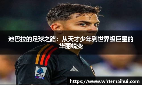 jn江南体育